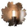 Pangea 1-Light Sconce