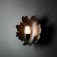 Pangea 1-Light Sconce