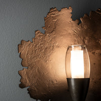 Pangea 1-Light Sconce