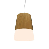 Conical Pendant 264