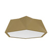 Physalis LED 20" Ceiling 5063
