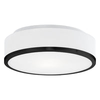 Charlie Interior Lighting  Ceiling Flush Mount