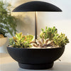 Garden I Table Lamp