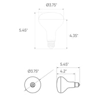 Dals Smart BR30 RGB+CCT Light Bulb