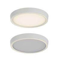 Dals Bloom 12" Dual-Light Dimmable Flush Mount