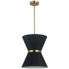 Caterine 1 Light Incand Pendant