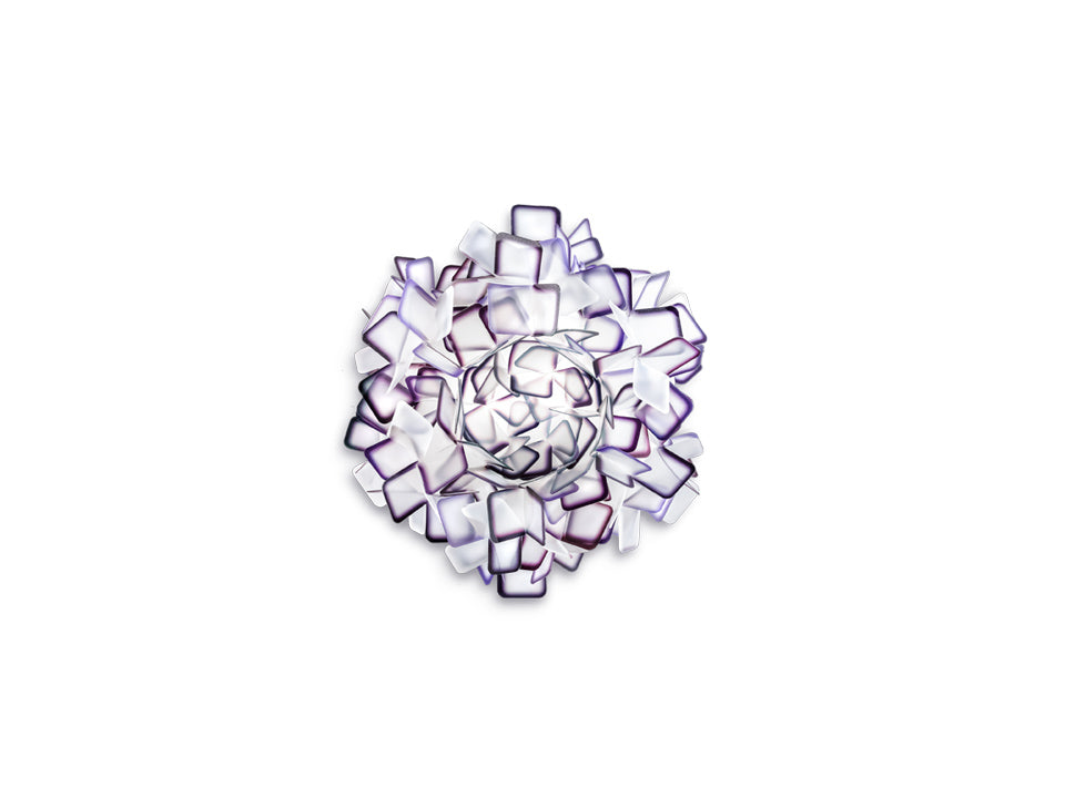 Clizia Ceiling/Wall