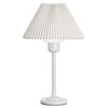 Table Lamp With 200W Bulb