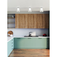 Birch  Interior Lighting Ceiling Flush Mount