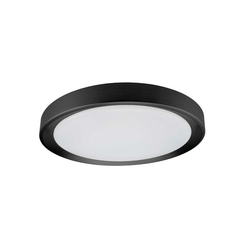 Flynn 11.75 inch 24W Flush Mount