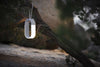 mr. Go portable lantern hanging from a tree using strap