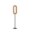 Lens Oval Floor Lamp