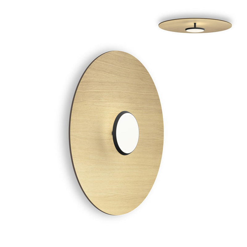 SKY Black Dome Flush Wall/Celling Mounted Wood