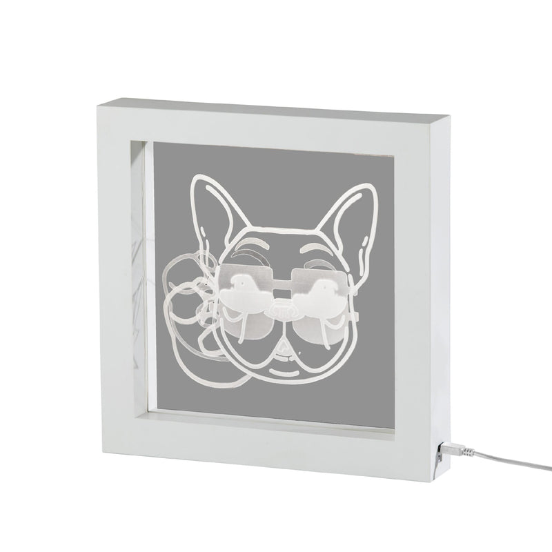 Cool Dog Video Light Box