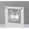 Cool Dog Video Light Box