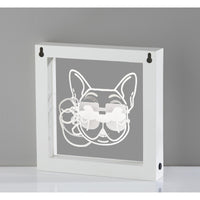 Cool Dog Video Light Box