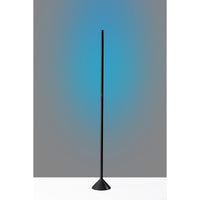 Cole LED Color Changing Wall Washer Floor Lamp