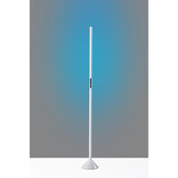 Cole LED Color Changing Wall Washer Floor Lamp