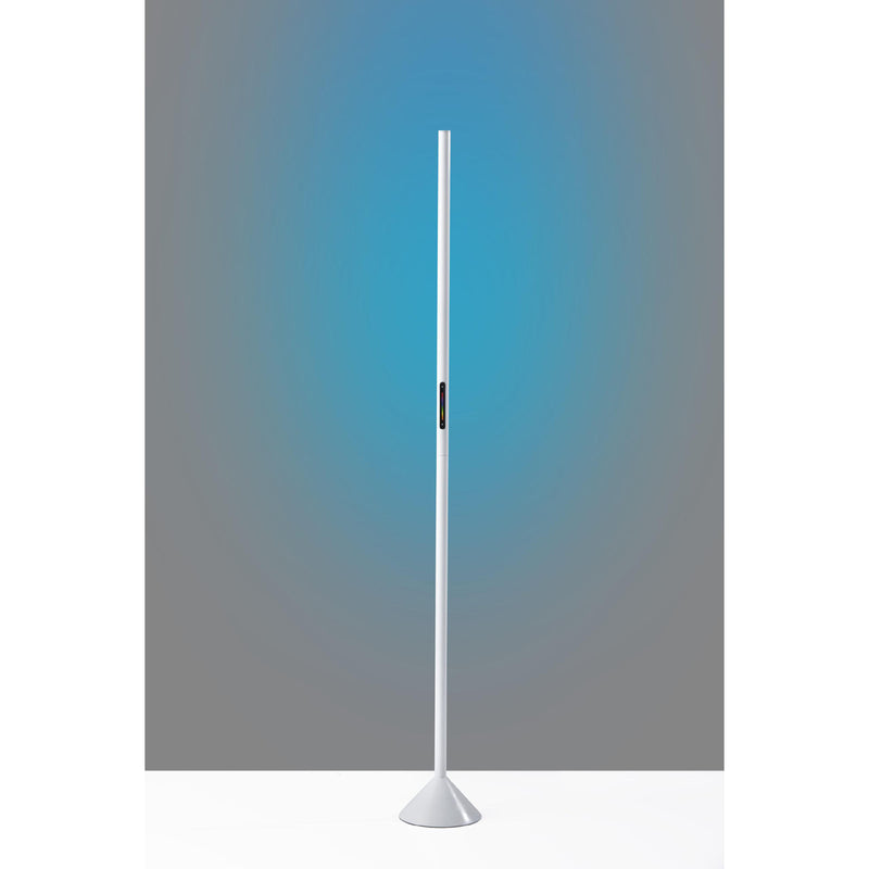Cole LED Color Changing Wall Washer Floor Lamp