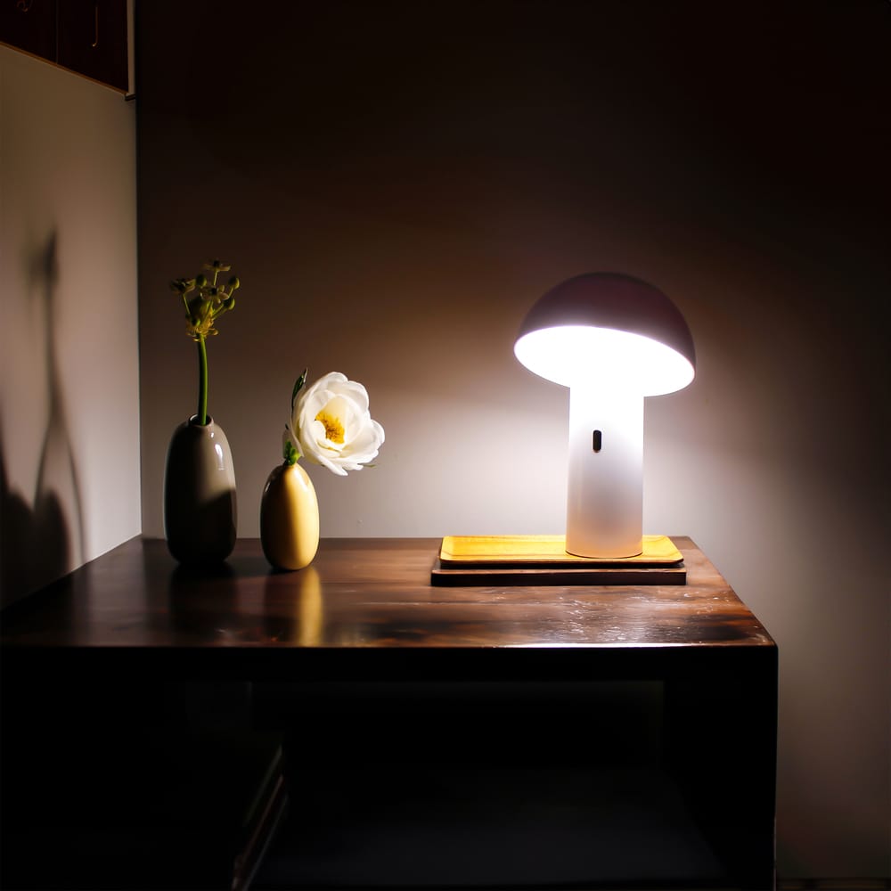 Shitake – Arevco Lighting Ottawa