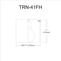 Theron 1 Light Flush Mount