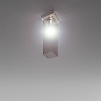 Tubes Matt Nickel Frame Finish Ceiling Lamp Light
