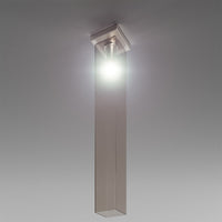 Tubes Matt Nickel Frame Finish Ceiling Lamp Light