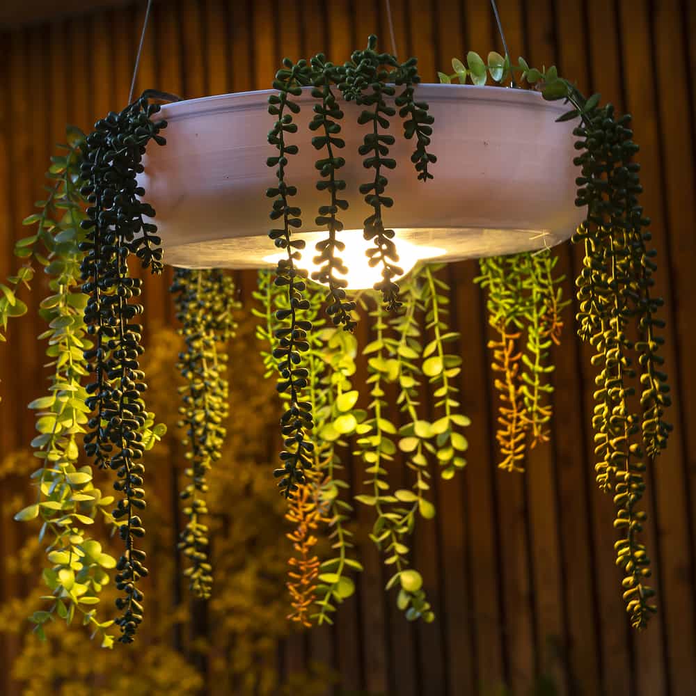 Elevate your decor with Newgarden's Elba, a hanging planter with wireless lighting, for modern elegance and durability.