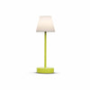 The Lola Slim 30 by Newgarden: The top-selling, uniquely shaped table lamp with an array of vibrant color options.